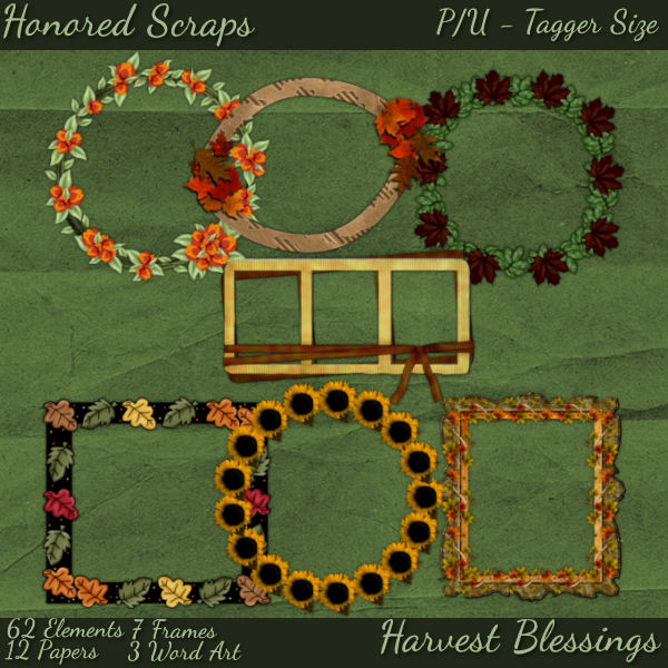 (image for) Harvest Blessings - Tagger